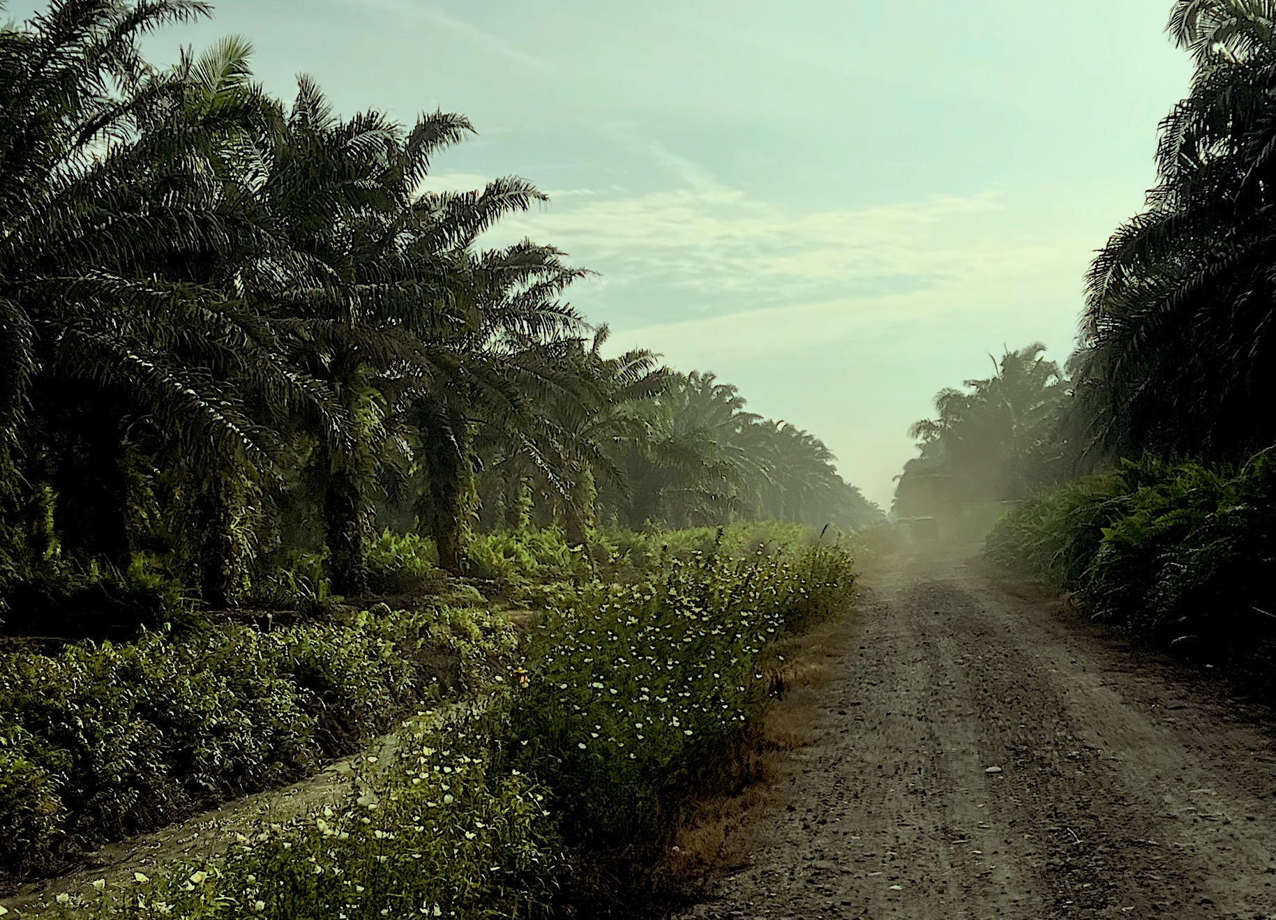 Plantation R&D Management System